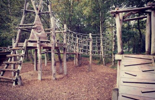 3 Bed in Bishop Auckland oc-89896 - Photo 31