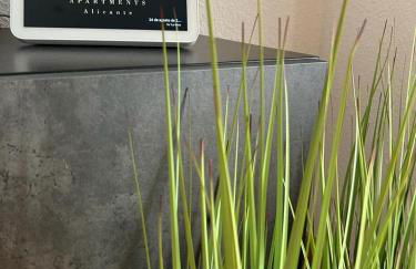 CH Apartments Alicante - Photo 31