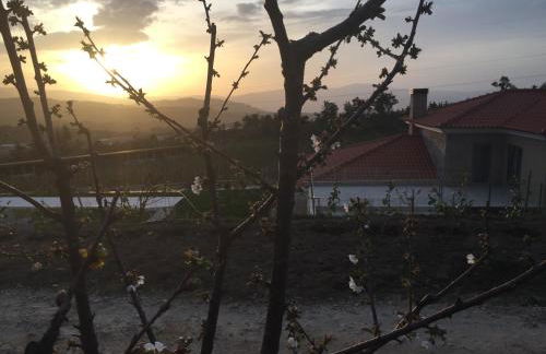 Quinta BEMBOA Turismo Espaço Rural - Foto 71