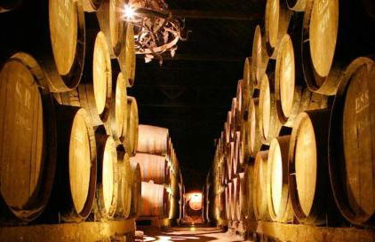 AZEITÃO DAMAS VILLA - Foto 52