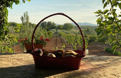 Stone Holiday Homes Stankovci with pool and Mediterranean gardens - Foto 34