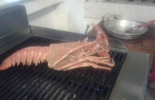 Iliovasilema VILLAGE - Photo 47