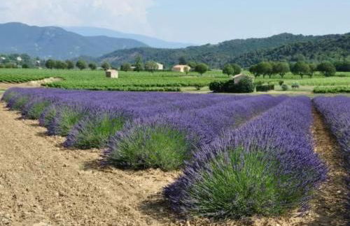 Holiday Home FERIENHAUS- FERIENHAUS MAISON DE LAVANDE - LAVENDELHAUS by Interhome - Foto 31