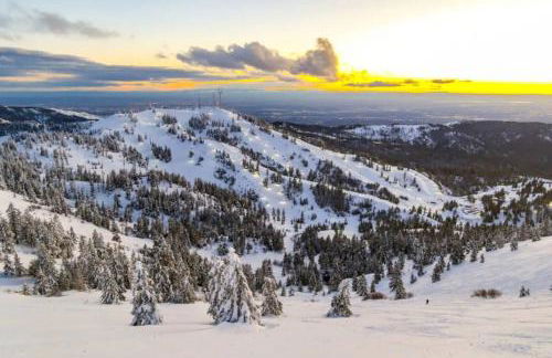 Botanicals & Cattle Vibes - Unique Vista Escape - Foto 18