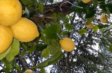 La Perla del Mare Apartment Vietri sul Mare - Foto 1
