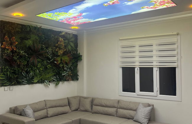 Dereli Suit Apart - Foto 16