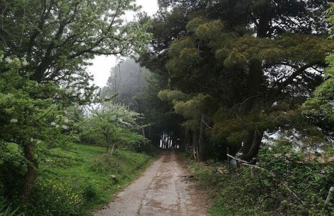 Agriturismo Bosco Pianetti - Foto 34