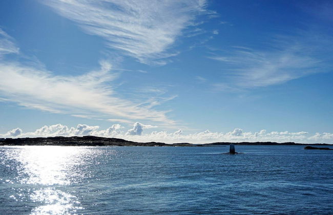 4 Star Holiday Home in Ockero-by Traum - Photo 10