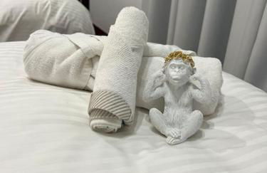 Jardín Secreto de Tabaiba - Foto 45