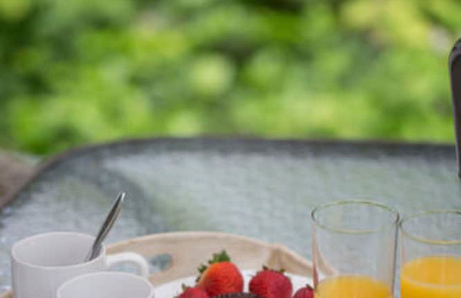 A Hidden Haven & Water Garden Cottages - Foto 45