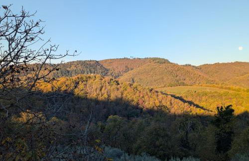 Podere le Muricce - Foto 48