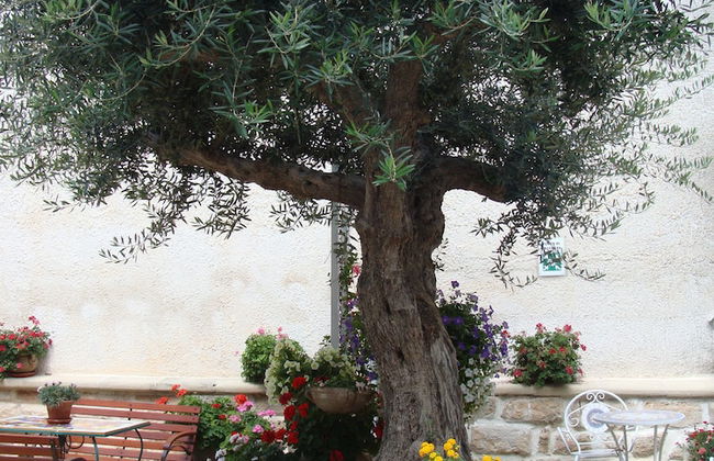 Guest House Al Gattopardo - Photo 30