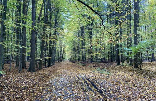 Skryta Chata Ojców - Photo 11