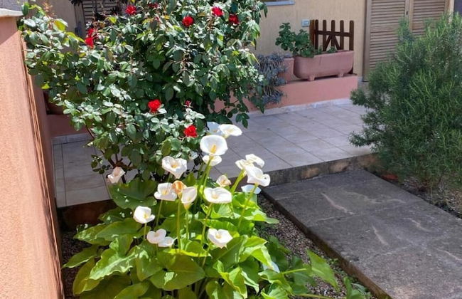 Casa I Corbezzoli - Paduledda - Isola Rossa - Foto 27