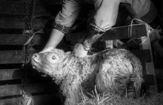 La casa sul ponte - Foto 14