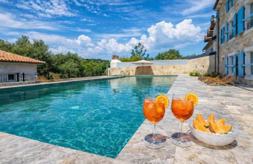 Deluxe Nature Resort Galovi Dvori - Foto 64