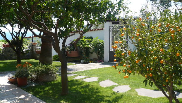 Azienda Agrituristica Villa Arianna - Photo 2, Image principale