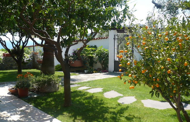 Azienda Agrituristica Villa Arianna - Photo 1