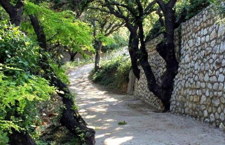 Mila's pet friendly holiday house with private beach place and sunbeds included - Photo 31