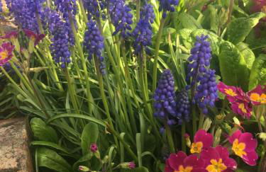 Gaer Fawr Barns - Photo 16