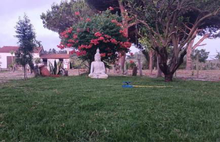 Casa do Lagar - Foto 48