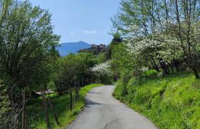 La Pezzuola 53 - Foto 7