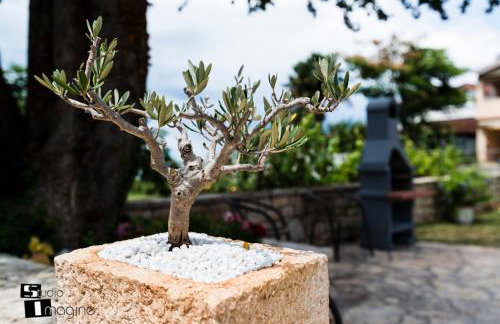 Charming stone cottage by the sea - Foto 50