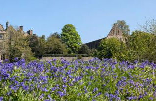 Ravenclaw Hall - Foto 64