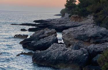 Sea view Eco house with pool, 250m to beach - Falcon View Hvar - Foto 25