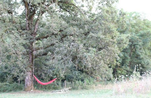 Gîte écologique proche Rocamadour & Gouffre de Padirac Vue vallée Dordogne - Foto 32