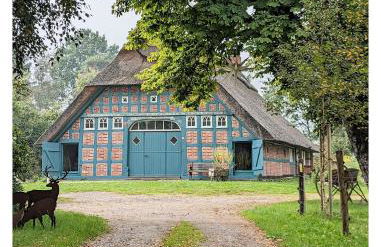 Ferienwohnung - De Deelstuuv - Foto 22