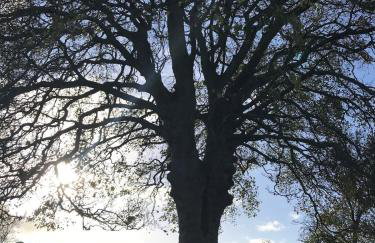 Holly Cottage - Village location, 2miles from Penrith, Lake District - Foto 31