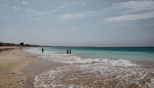 L'Olivier de Milou - Foto 3