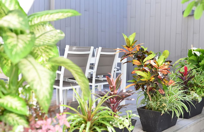 Calypso Boutique Apartments - Photo 30