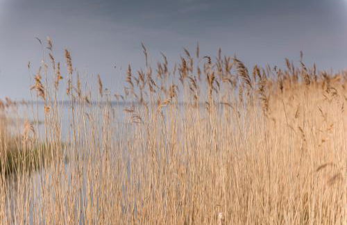 Kamphof Usedom Ferienanlage - Foto 142