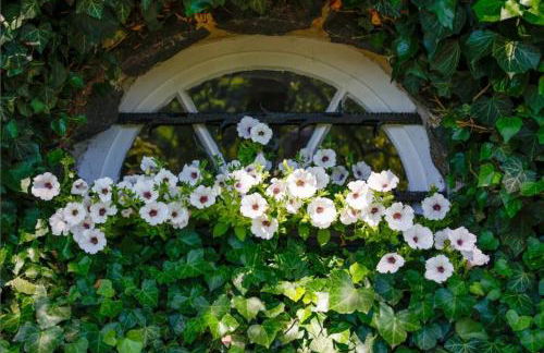 Residence Siedlinghausen - Foto 48