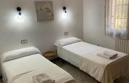 Les oliveres de l'Empordà - Foto 15