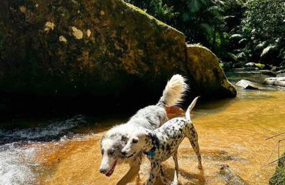Casa de campo com cachoeira no quintal - Foto 44