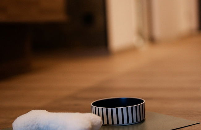 LH Suites Aparthotel - NEW since 2025 - Photo 29