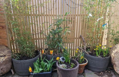 Cosy rustic cabin with hot tub and country views - Foto 26