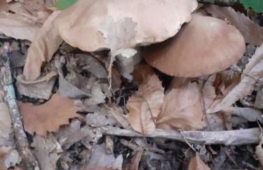 La Casa di Colle - Foto 34