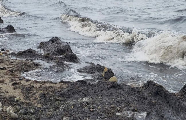 10 Person Holiday Home in Rodby-by Traum - Foto 34