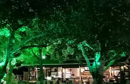 HARA'S HOUSES A - Foto 30