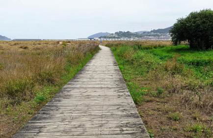 Piso luminoso y acogedor en primera línea de playa Covas Viveiro - Foto 6