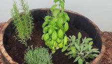 Villa vista vigneto - Foto 2