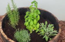 Villa vista vigneto - Foto 2