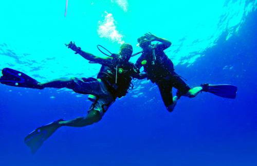 CASA DE PRINCESAS - Foto 47