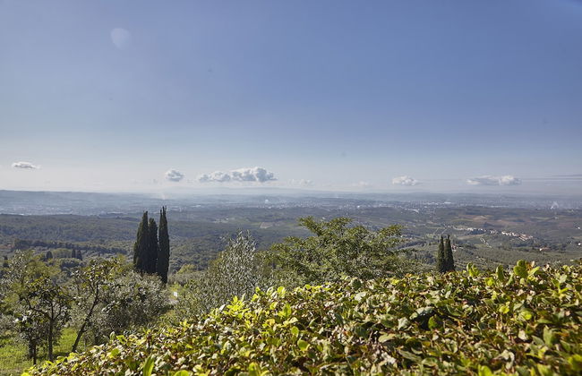 Colle Da Vinci - Photo 38