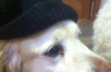 Holywell Grange Farm - Foto 14