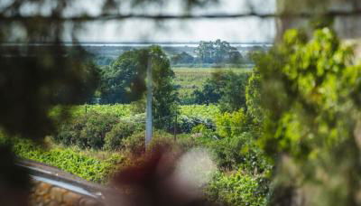 Le jardin des vignes - Foto 2